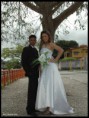 /album/galeria-de-fotos-pagina-inicial/a40-jpg/